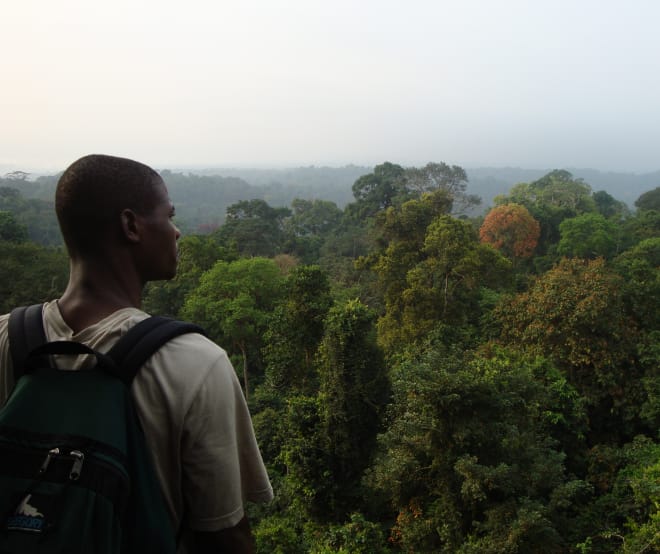 © Joshua Linder Un homme de dos observe le panorama offert par une forêt tropicale au sud du parc national de Korup (Cameroun)