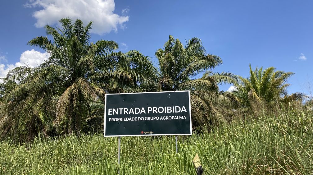Plantation d’huile de palme de la société Agropalma dans l’État de Pará en Amazonie brésilienne Panneau de signalisation devant une plantation de palmiers à huile sur lequel est inscrit (en brésilien) : ENTRÉE INTERDITE - PROPRIÉTÉ DU GROUPE AGROPALMA